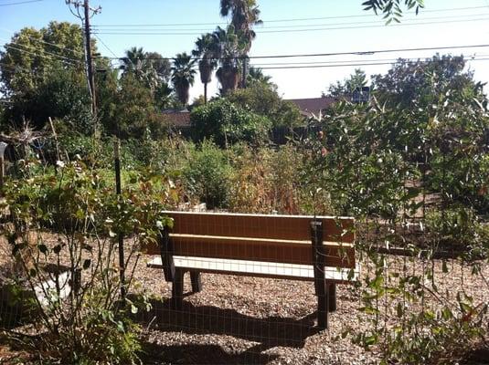 Church garden which is growing fresh vegetables, fliers and herbs.... I really like this.... ;)
