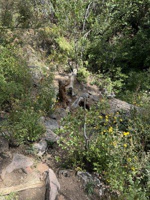 TWA Plane Crash Hiking Trail