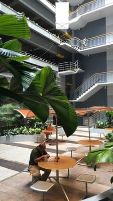 A Ala Moana Children's Dentist