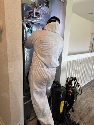 Instacure Mold Remediation