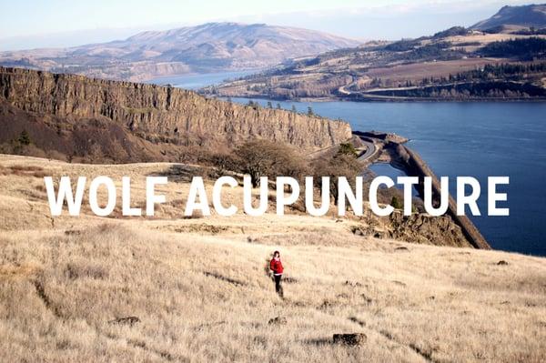 Wolf Acupuncture