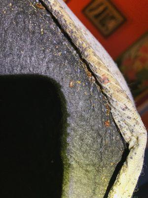 Misla Pest Solutions