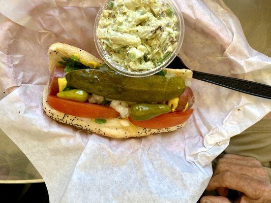 Jimmy's Hot Dog Company