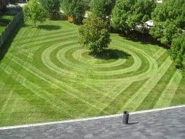 Top-Notch Lawn & Landscape