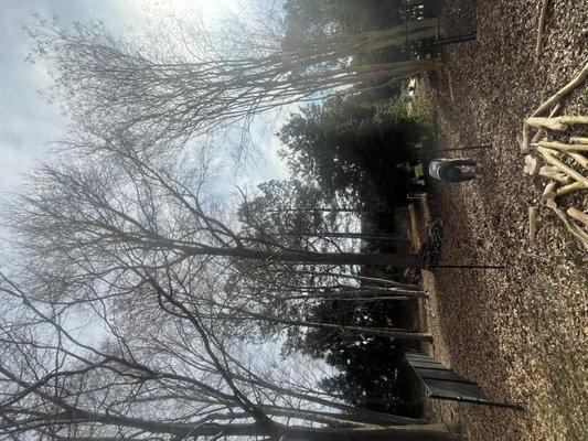 Brown's Tree Service