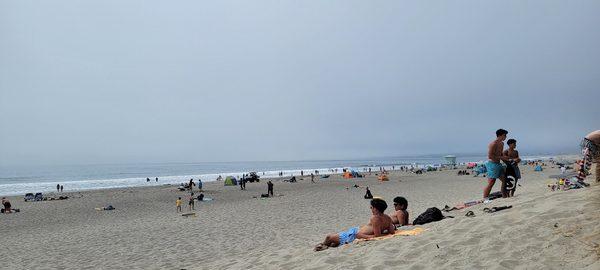 KA Butterfly Travels