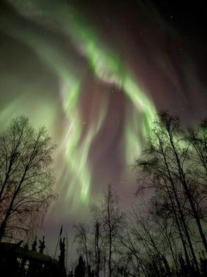 Aurora as seen from Aurora Bear's property