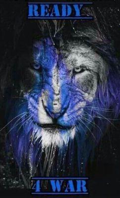 Lets go Lions!!! Happy Thanksgiving!