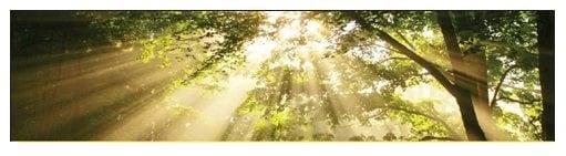 Ceremony Speaks When Words Fail