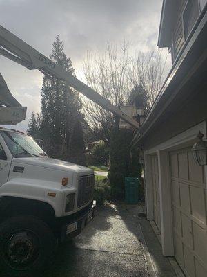 Champion Tree Care