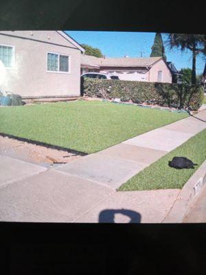 Lawn Care Garden Service