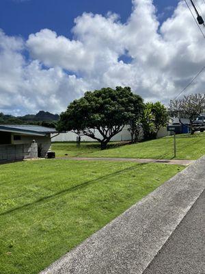 AL Best Tree Services