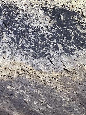 Rivertown Property Inspections