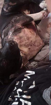 Warsaw Veterinary Clinic