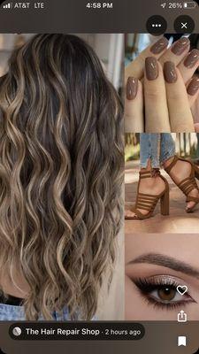 The Hair Repair Shop