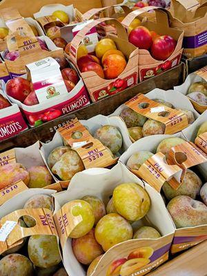 Sprouts Farmers Market