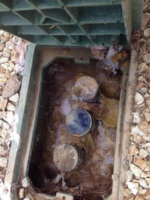 This is what they left us with!