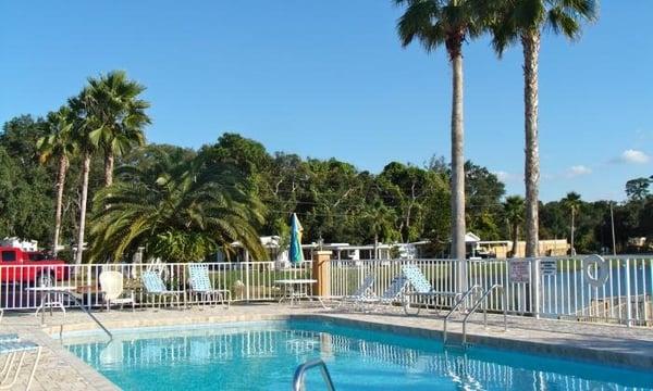 Orchid Lake's pool is one of the best you'll find in the Gulf Coast or Tampa area! It is pristine, heated and our pride and joy!