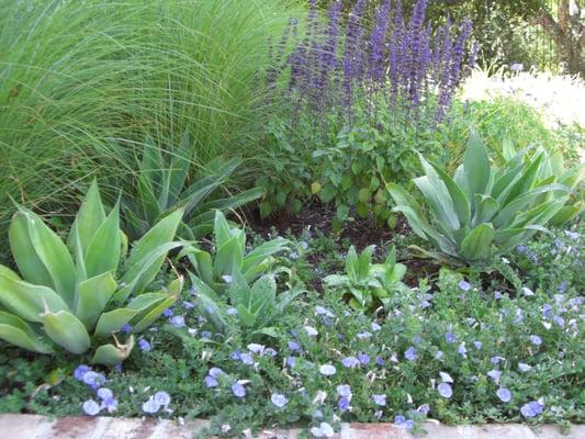 katie moss landscape design