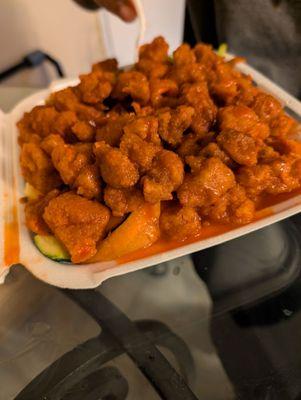 Teriyaki Express