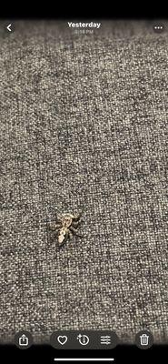 Residences at Daniel Webster