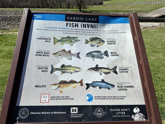 Mathies Park Recreation Area