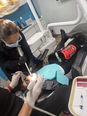 Modern American Dentistry - Woodland Hills