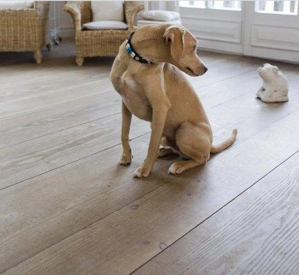 Factory Direct Flooring & Furniture