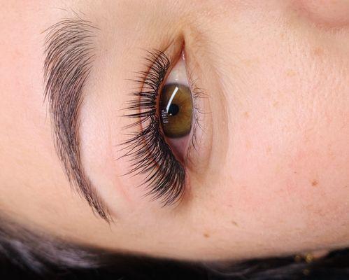 Laura rae Lash Artistry