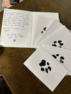 Animal Medical Center on Crow River