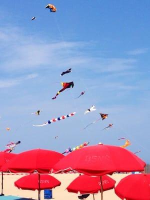 All those kites are a flying