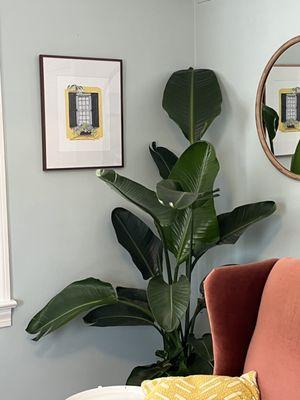 Megan Cannon Counseling