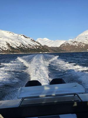 Saltwater Excursions