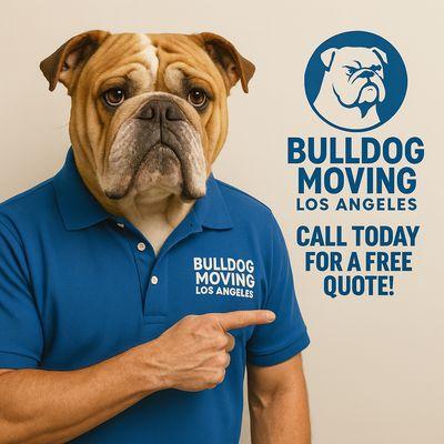 Bulldog Moving