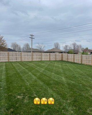 Precision Mowing and Cleansing