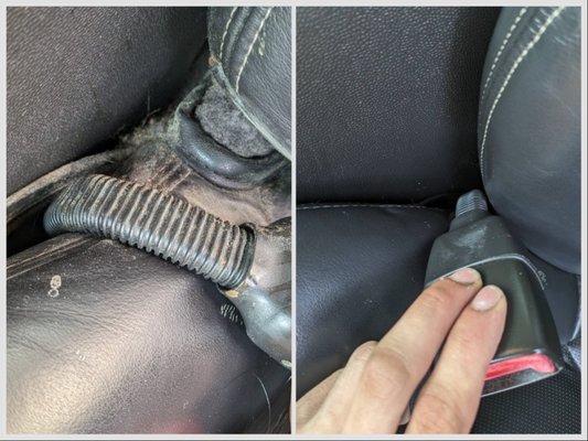 Top Tier Mobile Detailing LLC