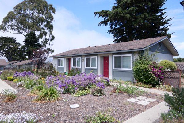 South Bay Apartments