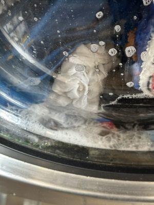 Spin Wash & Dry