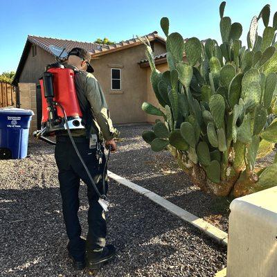 Yuma Premium Termite And Pest By Omar