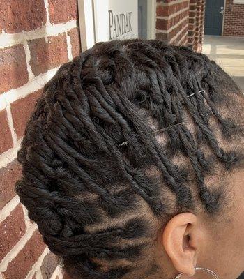 Stater Locs