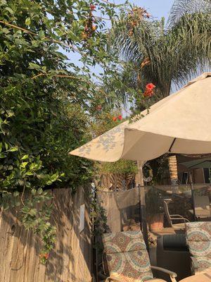 Brian's Lawn Maintenance