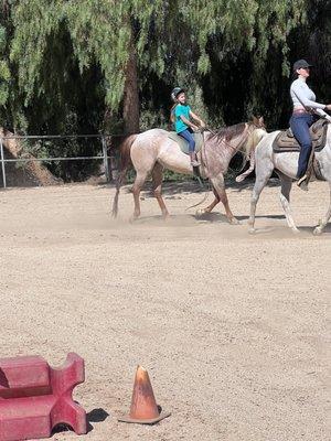 Mettrick Quarter Horses