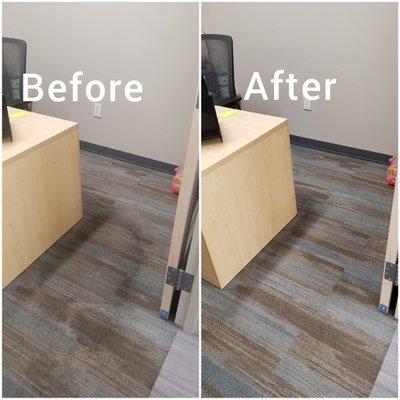 Clean and Thannkful Cleaning Services