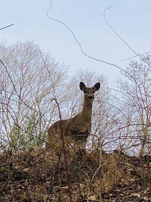 William Redd Jr. Park