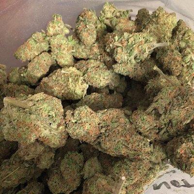 Gelato