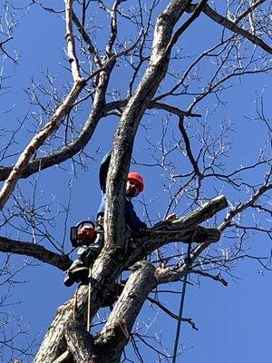 L and H Tree Service, Excavation & Construction