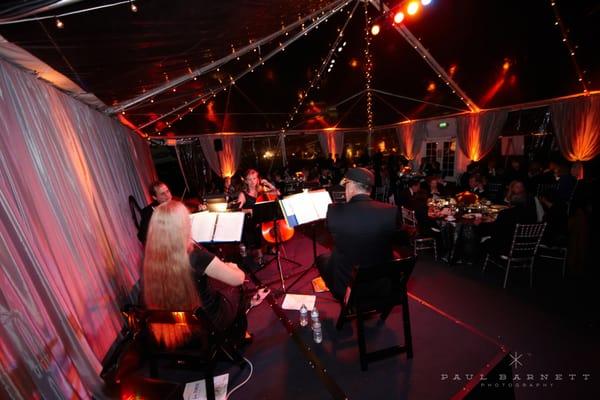 Windwild String Ensembles