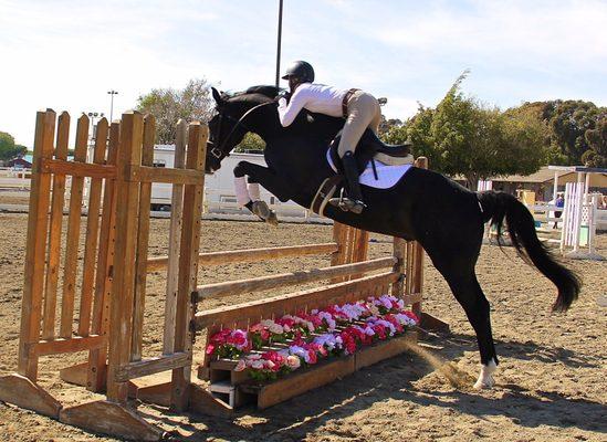 Cheval Training Stables