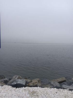 Shore outside the bungalows