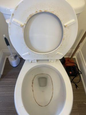 Squeaky Clean Solutions